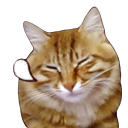 𝗕𝗼𝗯𝗹𝗼𝘅𝗶𝘁𝘆 ⊹ ࣪ ˖