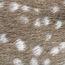 ✨cēllm4tés✨ Discord server icon