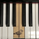 ✧ celestial sapphics ✧ wlw ✧ Discord server icon