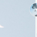 ⟢     🌊      ﹒      𝚊𝗊𝘂𝖺𝗋𝗶𝘂𝗆     💧