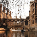 ⸜ 𝙉𝙖𝙧𝙧𝙤𝙬 𝙃𝙖𝙣𝙜𝙤𝙪𝙩 𝙃𝙦 ⸝ Discord server icon