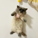 Whispering Tavern 🌙 Discord server icon