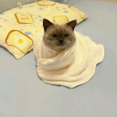 ꧁༺𝖣𝖤𝖢𝖤𝖨𝖵𝖤༻꧂ Discord server icon