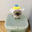 mērakī ─ ⋆・゜ Discord server icon