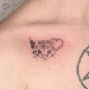 ✦ ℍöŧêłŦơƥıå | ꈤєƲ ωơƦłƉ ✦ Discord server icon