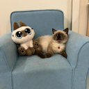 𝕄𝕚𝕤𝔽𝕚𝕥 𝔽𝕒𝕞 Discord server icon