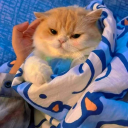 🅞ⓝⒸ⒠ 𝐔𝐏𝐎𝐍 𝐀 𝐓𝐈𝐌𝐄 ⓉⓄ Discord server icon