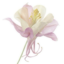 ✧˚. 𝐈𝐧𝐭𝐞𝐥𝐥𝐞𝐜𝐭𝐮𝐚𝐥 𝐀𝐧𝐢𝐦𝐞 𝐇𝐮𝐛 ᵎᵎ Discord server icon