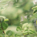 Super Mario Kingdom ༄ Discord server icon