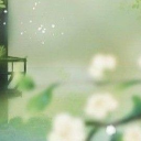 𓆩Apollo𑁍𓆪 Discord server icon