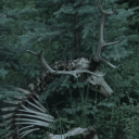 ⋆｡‧˚ʚ 𝙛𝙡𝙤𝙪𝙧𝙞𝙨𝙝 ɞ˚‧｡⋆ Discord server icon