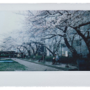 ✦﹒♡﹒lovae's sweetshop﹒ Discord server icon