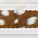 a͛m͛o͛r͛a͛ Discord server icon