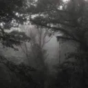 ꧁⁺˖𝕋𝕖𝕖𝕟 ℍ𝕒𝕧𝕖𝕟⋆ᯓ
