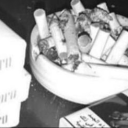 ✦⋆｡࿐Ⳋ𝜚﹒linglet lαbels ✨╰୧. #kcα Discord server icon