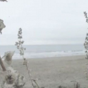 ꧁༺⭑♡Novoselic Empire𖤐⭑༻꧂ Discord server icon