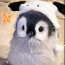 ⋆‧₊˚  xunəriz  ₊˚⋆ Discord server icon