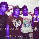 They are purple because they want to play fetch 💜💜