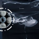 ŠÚΒĦӨＪ GÅΜΓИG Discord server icon