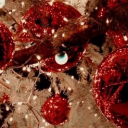 ꜞ𝓒𝐫𝐢𝐬𝐩𝐲'𝐬 ꜞ𝐂𝐨𝐳𝐲 ꜞ𝐂𝐨𝐫𝐧𝐞𝐫ꜞ Discord server icon