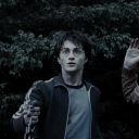 🦍𝙂𝙤𝙧𝙞𝙡𝙡𝙖│𝘾𝙝𝙚𝙚𝙨𝙚 𝓖𝚛𝚊𝚎𝚗 ✠ 𝙲𝚊𝚙𝚒𝚝𝚘𝚕 Discord server icon