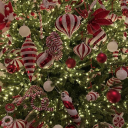 𝐗-𝐓𝐑𝐄𝐌𝐄 𝐆𝐀𝐌𝐈𝐍𝐆™ Discord server icon