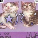 ✨ 𝐂𝐚𝐭 𝖲𝖾𝗇𝖺 𝕾𝖊𝖗𝖊𝖓𝖎𝖙𝖞 ✨ Discord server icon