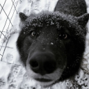 Aetherium Station Discord server icon