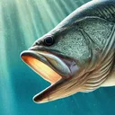 MLF: Pro Catch