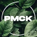 Server icon for PanterMC Network