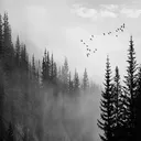 Long Valley