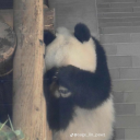 𝓕𝓪𝓶𝓲𝓵𝔂 𝓗𝓮𝓪𝓻𝓽𝓱 ✧⋆.˚ Discord server icon