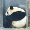 ❖ 1907 Legion ❖ Discord server icon