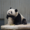 𓋼　Solaris　𓋼 Discord server icon