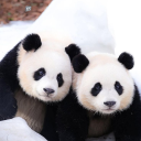 ╰‿╯H₂O Haven╰‿╯ Discord server icon