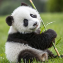 Guild Tags ✨ 𝖀𝖓𝖎𝖖𝖚𝖊 𝖄𝖔𝖚𝖗 𝖂𝖔𝖗𝖑𝖉 Discord server icon