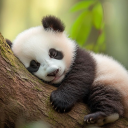 ❖ᘓꪒ⑅ꪒ︵🜚  𓂃  #kuri ˒˖🎐  .  decors . gfx . icons . events . emotes Discord server icon