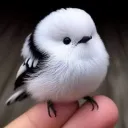 EdgyKawaiiGirℓs✧