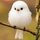 ➷　　💜　　︵　　Ethereal haven!? Discord server icon