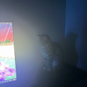 jaxshreddas server - SMP Plus Team Discord server icon