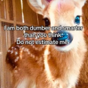 SATX NSFW (18+) Discord server icon