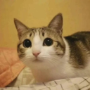 sunshine and rainbows Discord server icon