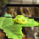 the friend zone Discord server icon