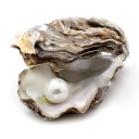 The Oysters Discord server icon