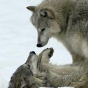 암월 : 暗月 Discord server icon