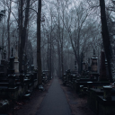 The Old Hollow Discord server icon