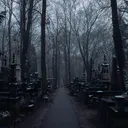 The Old Hollow