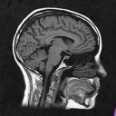 Brain Dump Discord server icon