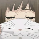 schizo kittens