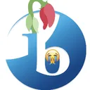 IB - Guide